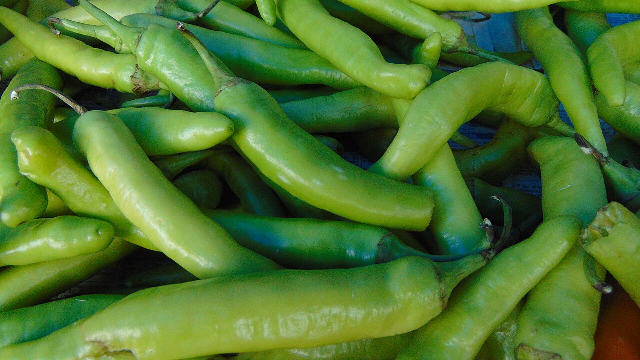 Green Chilli from AARKVEE AGRO EXPORTS