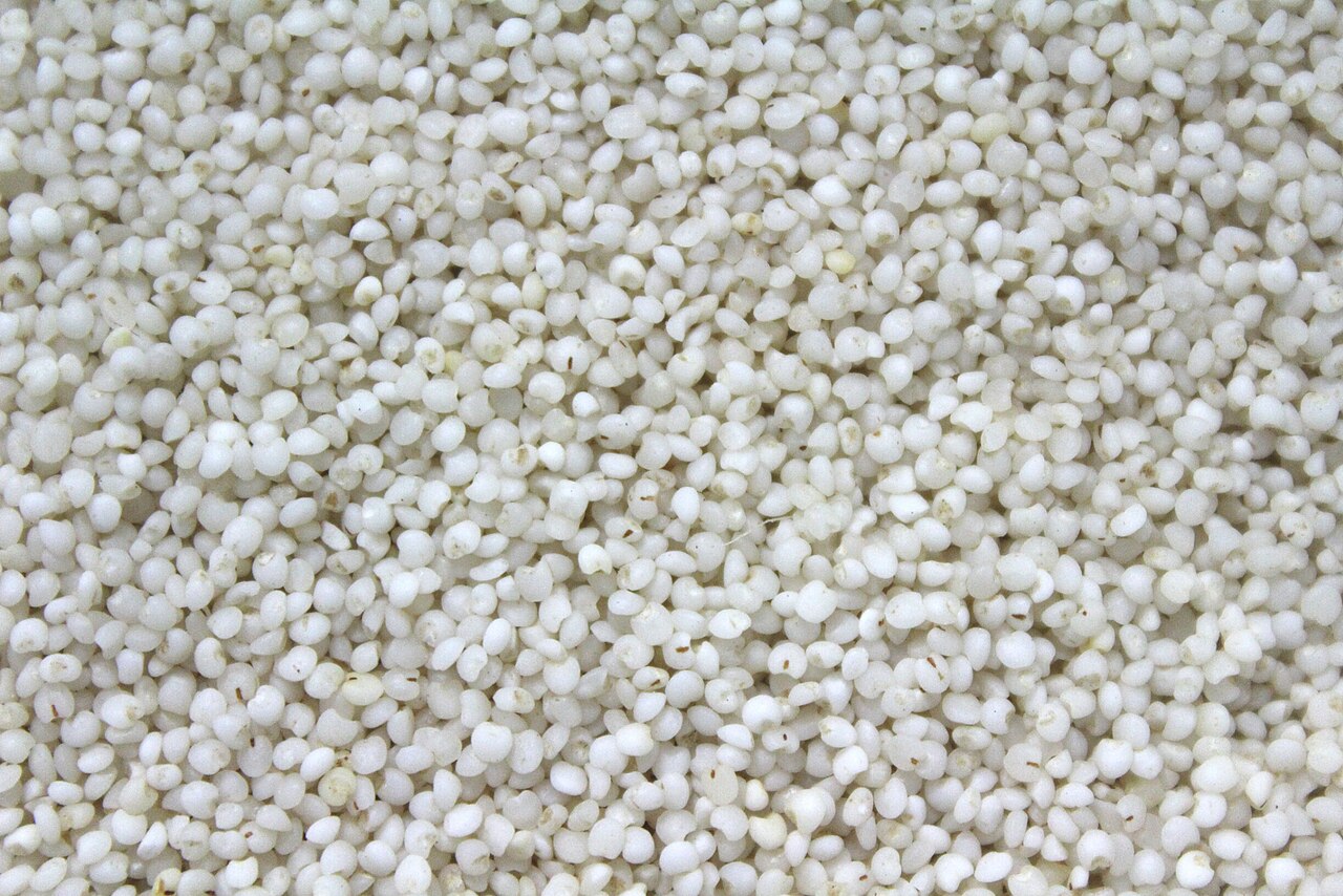 Millets from AARKVEE AGRO EXPORTS